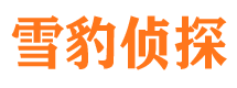 梨树市调查公司